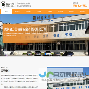 东莞市臻云五金科技有限公司