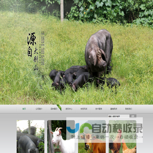 金寨县鑫家寨生态农业开发有限公司