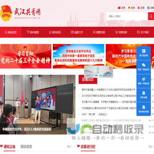 共青团武汉市委员会