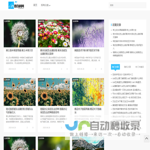 九思百科网
