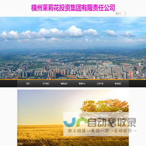 横州茉莉花投资集团有限责任公司