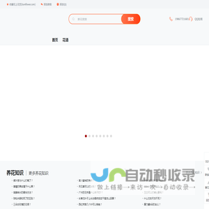深圳鲜花