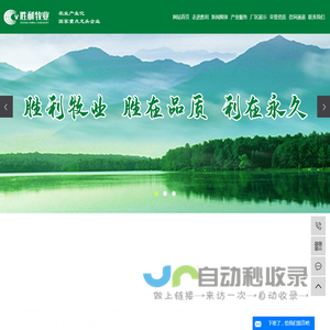 肉鸡屠宰加工