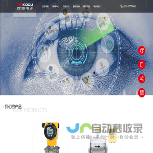 气体质量流量控制器
