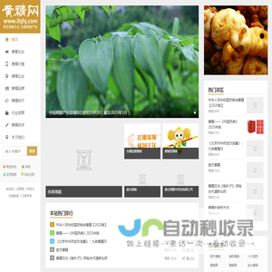黄精网