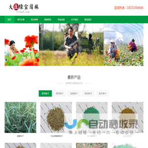 大庄绿宝园林网