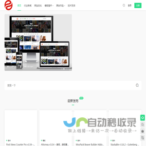 软件开发