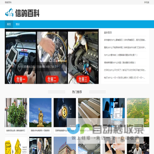 信鸽百科