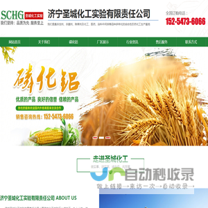济宁圣城化工实验有限责任公司