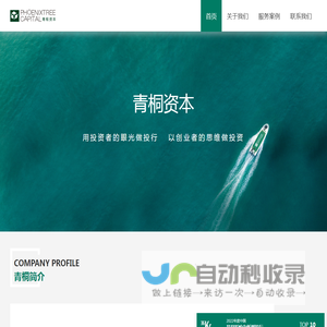 青桐资本