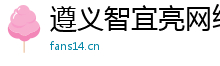 遵义智宜亮网络科技工作室