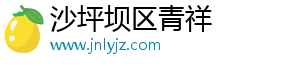 沙坪坝区青祥网络技术工作室（个体工商户）