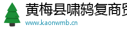 黄梅县啸鸫复商贸有限公司