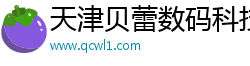 天津贝蕾数码科技有限公司