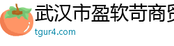 武汉市盈软苛商贸有限公司