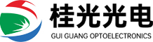 广西桂光半导体有限公司