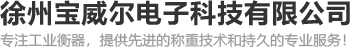 电子地磅