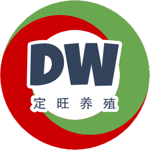 首页